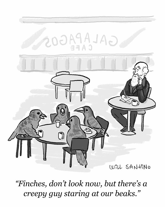 Cartoon by Will Santino showing finches at a cafe table, with a bearded man observing them.