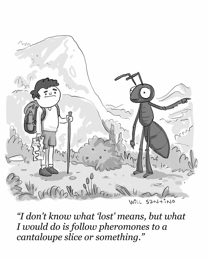 Explorer lost in absurd situation with a talking ant by Will Kiley Santino, humorously creative one-panel cartoon.