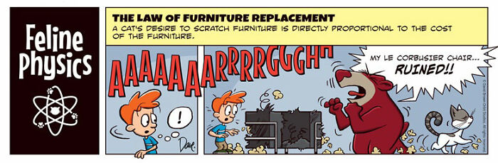 Comic strip showing a cat scratching furniture, with "Feline Physics" logo. Planey Joey theme is about furniture replacement.