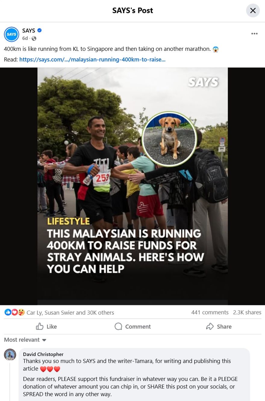 Malaysian Is Running 250 Miles To Raise Funds For Stray Animals. The Fundraiser Is Going Viral&mdash;can You Help Spread It Further?