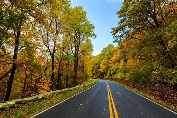 Winding road through autumn foliage, showcasing vibrant colors on a legendary American route.