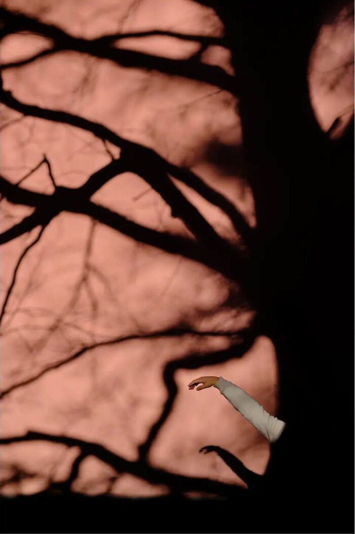 Abstract street photograph featuring silhouetted branches and an extended arm against a warm-toned background.