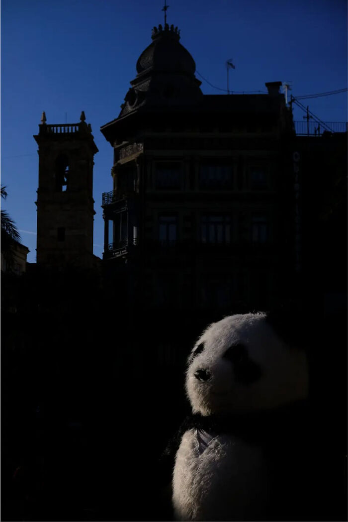 Panda plush in front of silhouetted urban buildings, showcasing abstract street photography by Andrea Pozzoni.