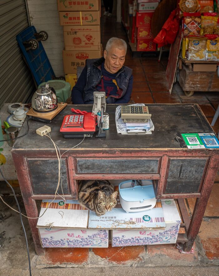 Cat nestled in a shop desk in the city, alongside an elderly man and vintage electronics, capturing urban charm.