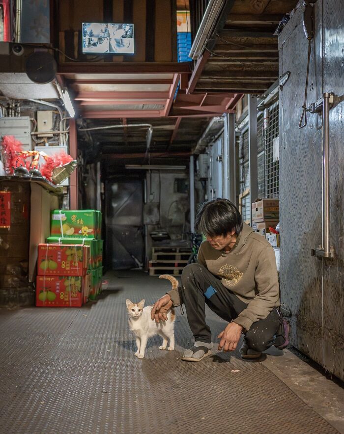 Man crouching beside a cat in a city alley, with boxes and dim lighting in the background.