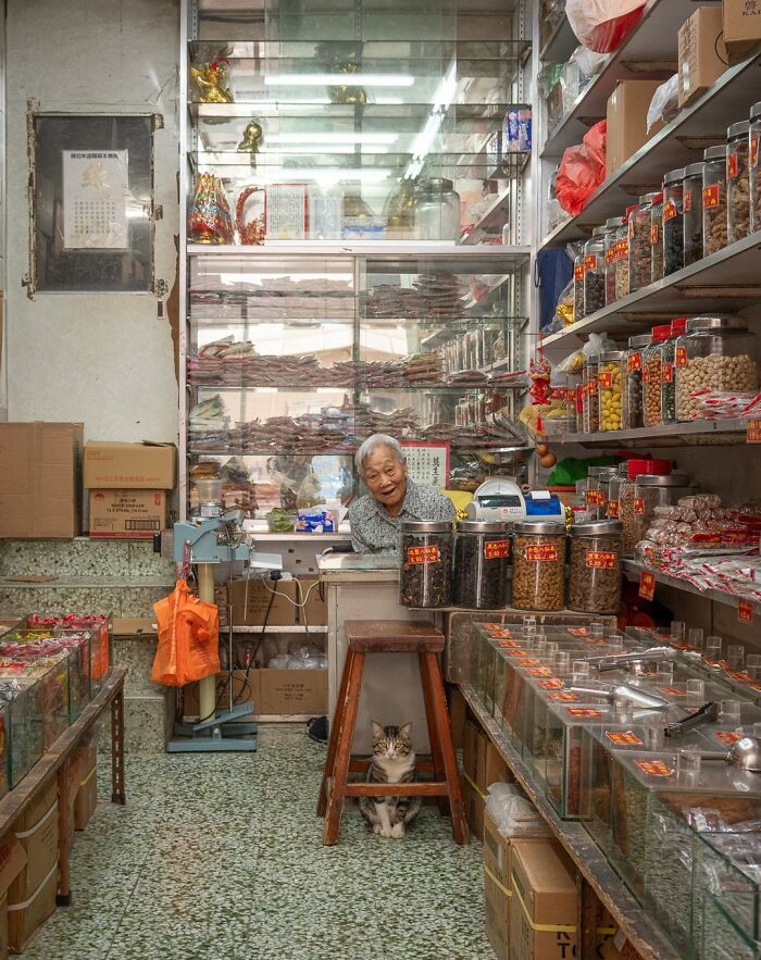 Cat sitting in a cozy shop in a city with an elderly shopkeeper, surrounded by various goods and jars.