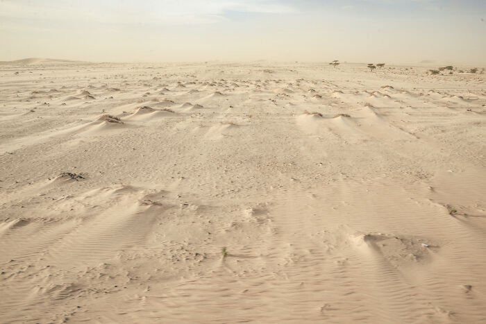 Sahara Desert As Seen From The Carriage Of The Mauritanian Iron Ore Train
