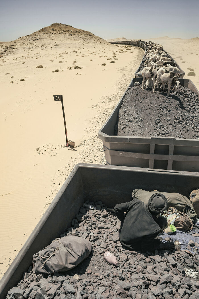 The Iron Ore Train Rides Towards Nouadhibou Loaded With Livestock That The Shepherd Is Observing