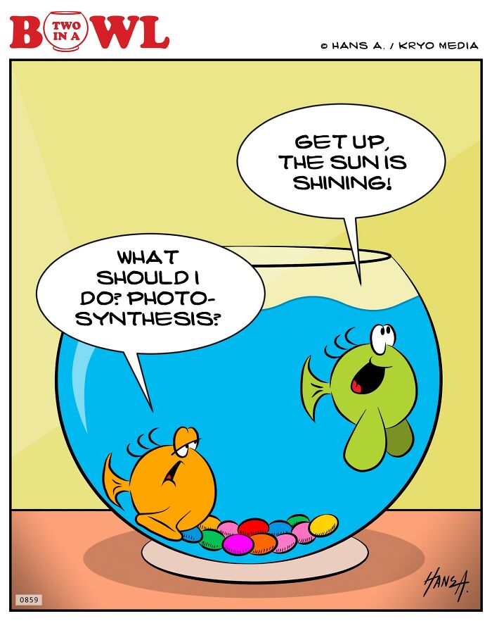 Two fish in a bowl, one suggests photosynthesis as a response to the other saying the sun is shining.