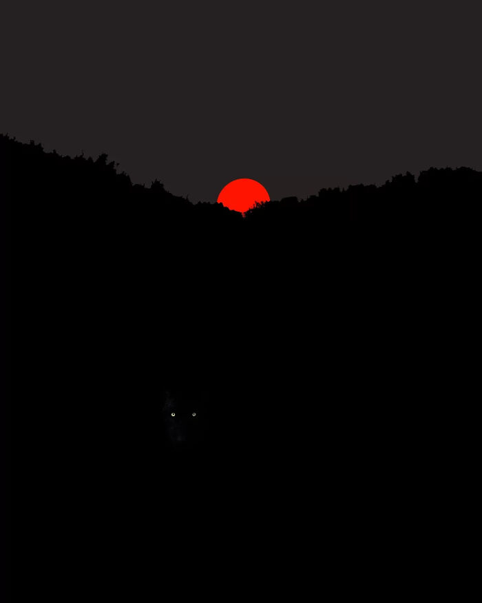 Surreal photo by Benjamin Wolf showcasing a bright red sunset with dark surroundings, conveying magic and mystery.