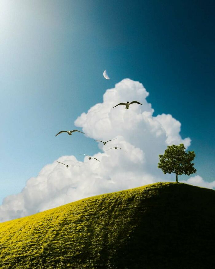 Surreal photo of a solitary tree on a hill with birds flying under a crescent moon and fluffy clouds.