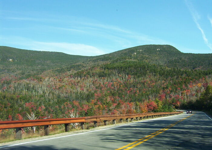 Scenic drive on a legendary American road route through a vibrant forest with mountain views.