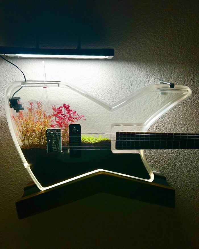 Guitar made from transparent material with plants and grass inside, showcasing stunning craftsmanship and unique design.