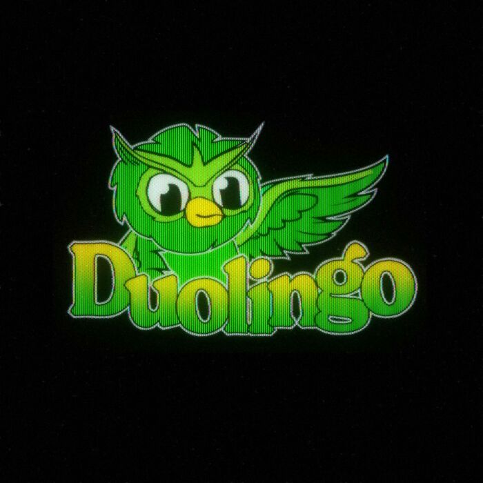 Retro 80s twist on Duolingo logo, featuring a neon green owl with stylized text.