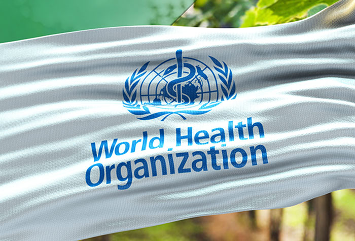 World Health Organization flag, related to unknown illness causing fatalities, baffling experts. World Health Organization flag, related to unknown illness causing fatalities, baffling experts.