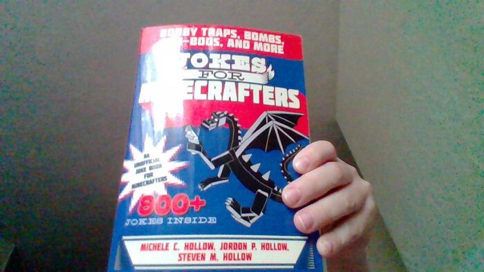 Dad Jokes File, Minecraft Editon