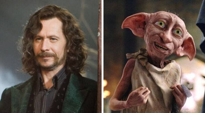 sirius black and dobby from harry potter