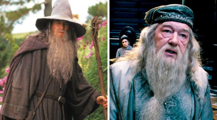 Gandalf in Lord of the Rings and Dumbledore in Harry Potter