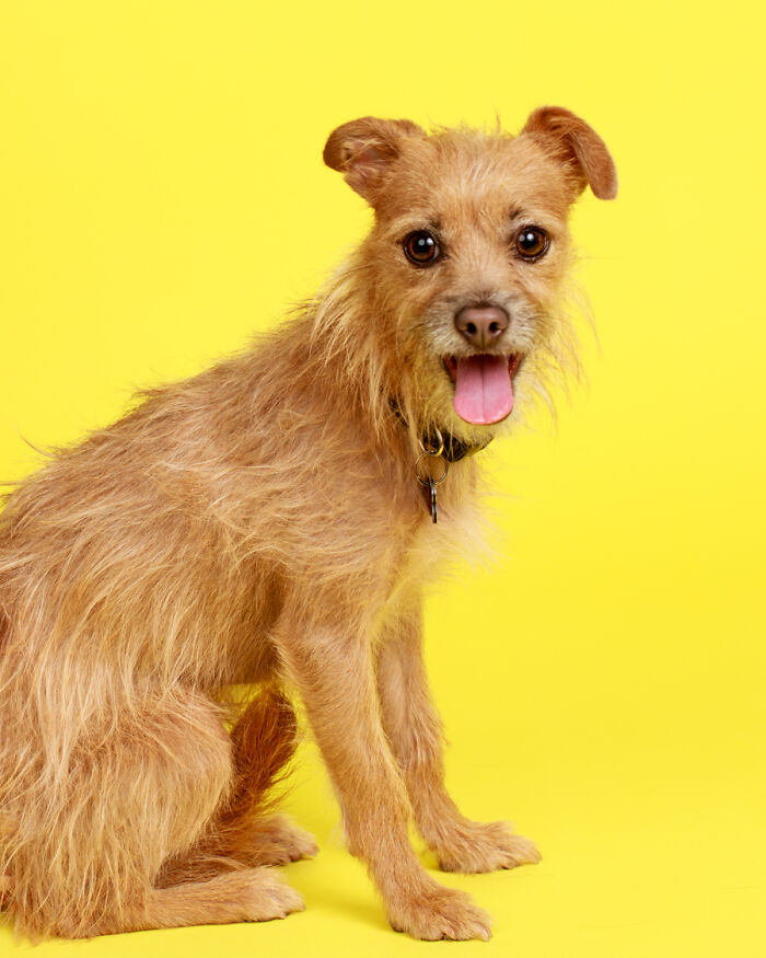 Idle Hands Are Are Butt Scratches!