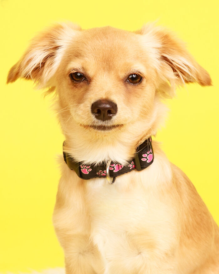 Every Bite You Take... I'll Be Watching You