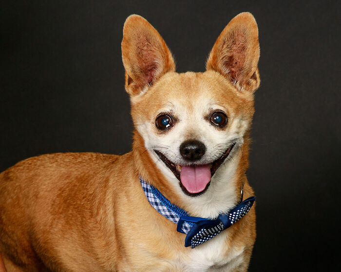 I Am A Real Gentleman!