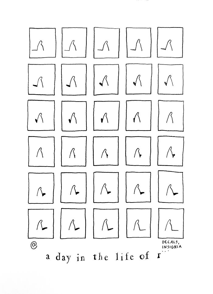 A Day In The Life Of R