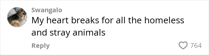 Comment by Swangalo expressing sympathy for homeless and stray animals.