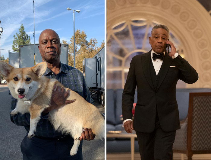 A person holding a dog on set and another person in a tuxedo on a phone, relating to actors replaced mid-production.