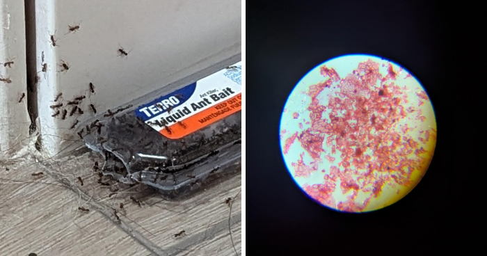 Skip The Research: 27 Amazon Finds That Already Won The Internet