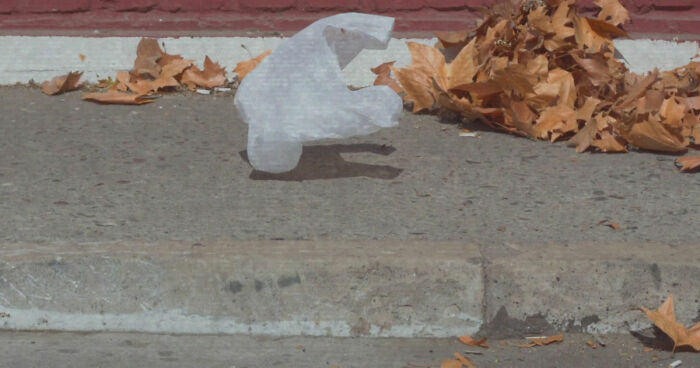 A plastic bag in the wind on a sidewalk, reminiscent of famous movie props scenes, with autumn leaves nearby.