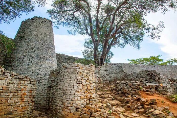 Ancient stone ruins with large trees, offering a glimpse into ancient civilizations.