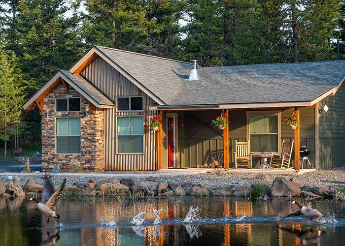 Family cabin by a pond, surrounded by trees, with geese in the foreground. Family cabin by a pond, surrounded by trees, with geese in the foreground.