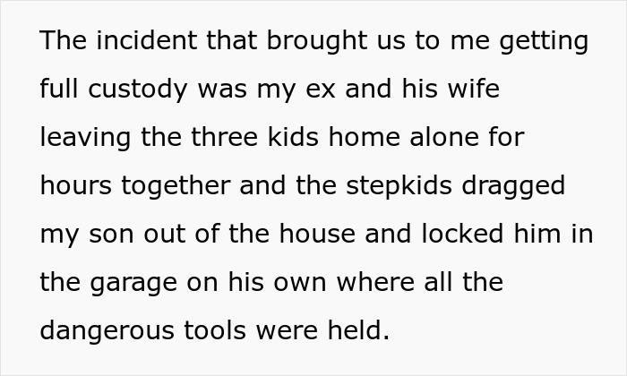 Text describing a custody incident involving a mother, her son, and stepsiblings.