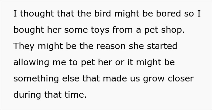 Text about a person's efforts to improve bond with a parrot using toys from a pet shop.