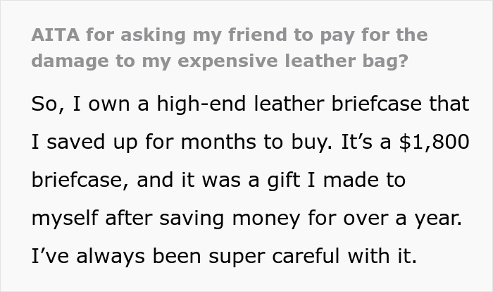 Text discussing asking a friend to pay for damage to an expensive leather bag.
