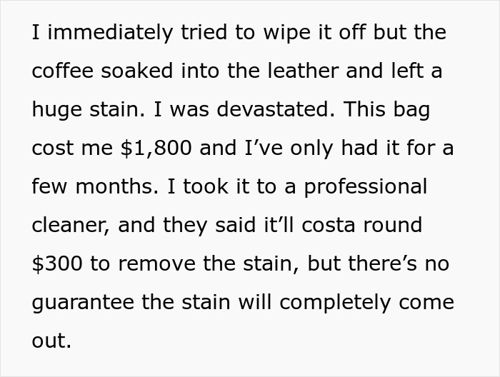 Text detailing a coffee stain on a costly leather bag and cleaning issues.