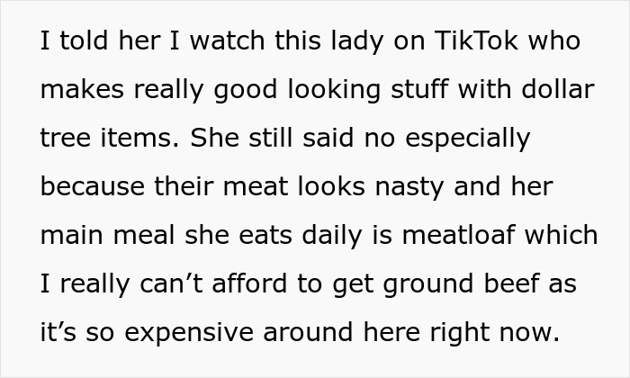 Text about offering groceries from Dollar Tree, discussing TikTok crafts and concerns about meat quality and expense.