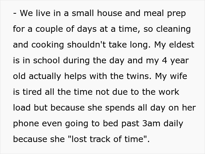 Text about a dad managing a household with newborn twins and addressing his wife's habits.