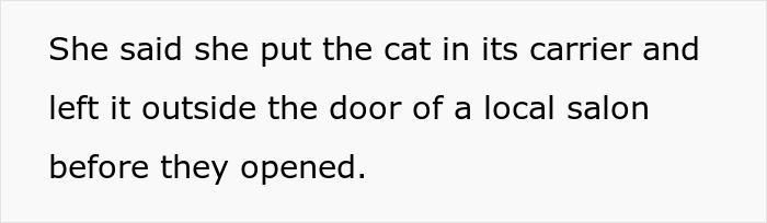 Text screenshot about a woman re-homing her cat by leaving it outside a salon.