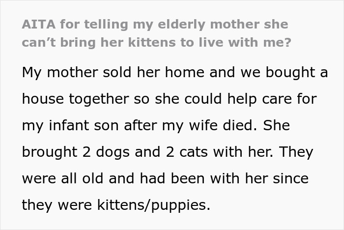 Text about a son's allergy to cats and a mother's insistence on bringing pets despite it.