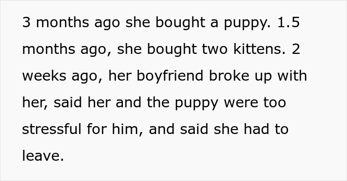 Text about recent pet purchases and a relationship ending, mentioning puppies and kittens.