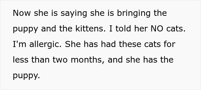 Text showing a disagreement over bringing cats despite son's allergies.