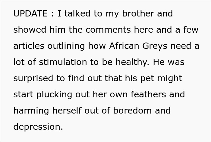 Text discussing African Greys needing stimulation to avoid boredom and depression, surprising a pet owner.