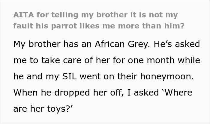 Text conversation about a parrot preferring one sibling over the other, highlighting pet parenting issues.
