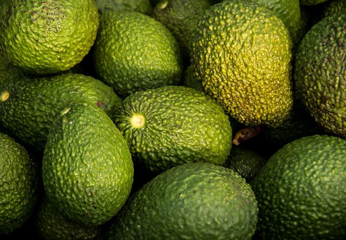 A pile of ripe avocados displaying textured green skin, relating to unpopular opinion poll topic.