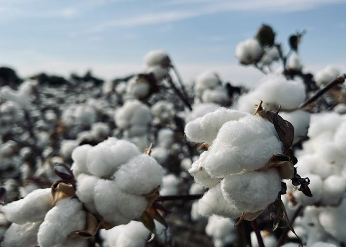 41 People Share What Baby Name Immediately Makes Them Lose All Respect For The Parents