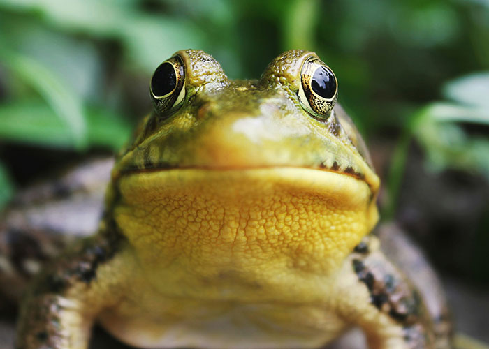 41 People Share What Baby Name Immediately Makes Them Lose All Respect For The Parents