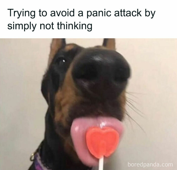Dog licking a heart-shaped lollipop, with text about avoiding panic, relatable memes.