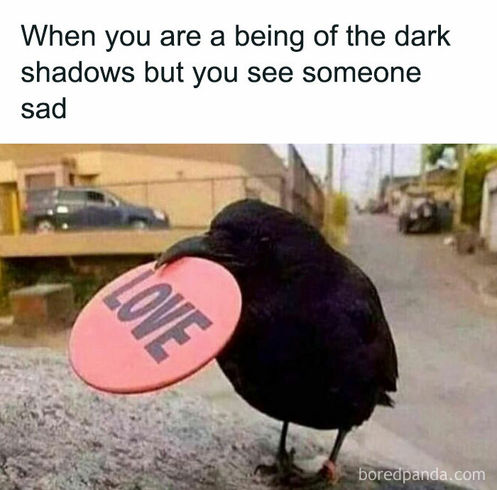 A bird holding a "LOVE" disc in its beak, relating to memes about barely functioning individuals.