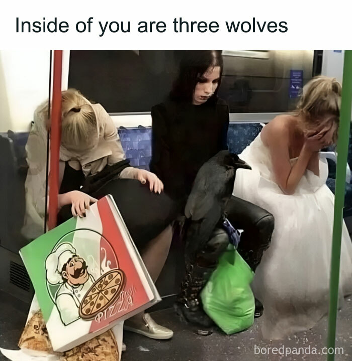 Three people in a subway, each looking tired, with a pizza box, a crow, and a wedding dress, resembling relatable memes.